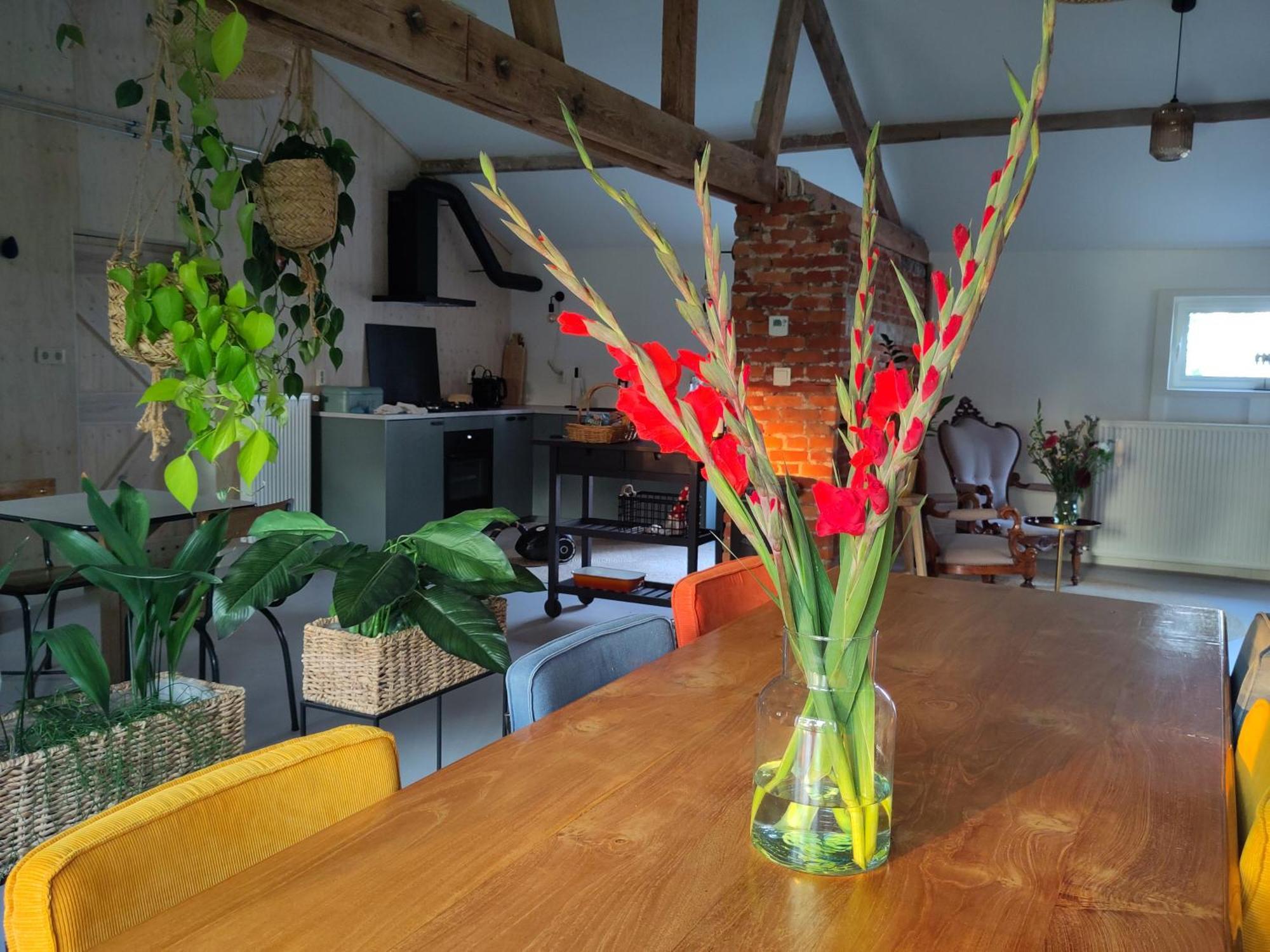 Bed and Breakfast 'T Voske Zundert Zewnętrze zdjęcie