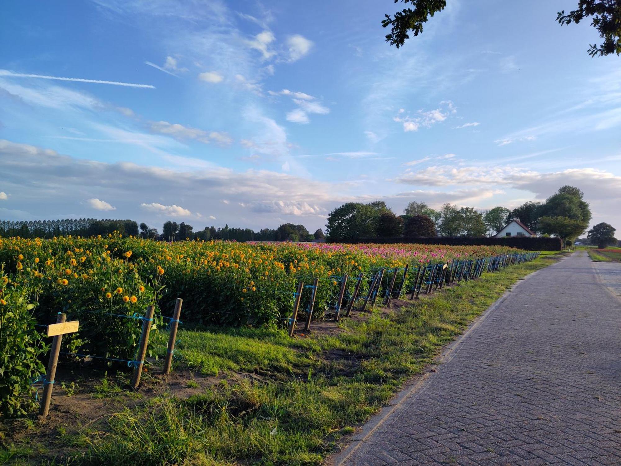 Bed and Breakfast 'T Voske Zundert Zewnętrze zdjęcie