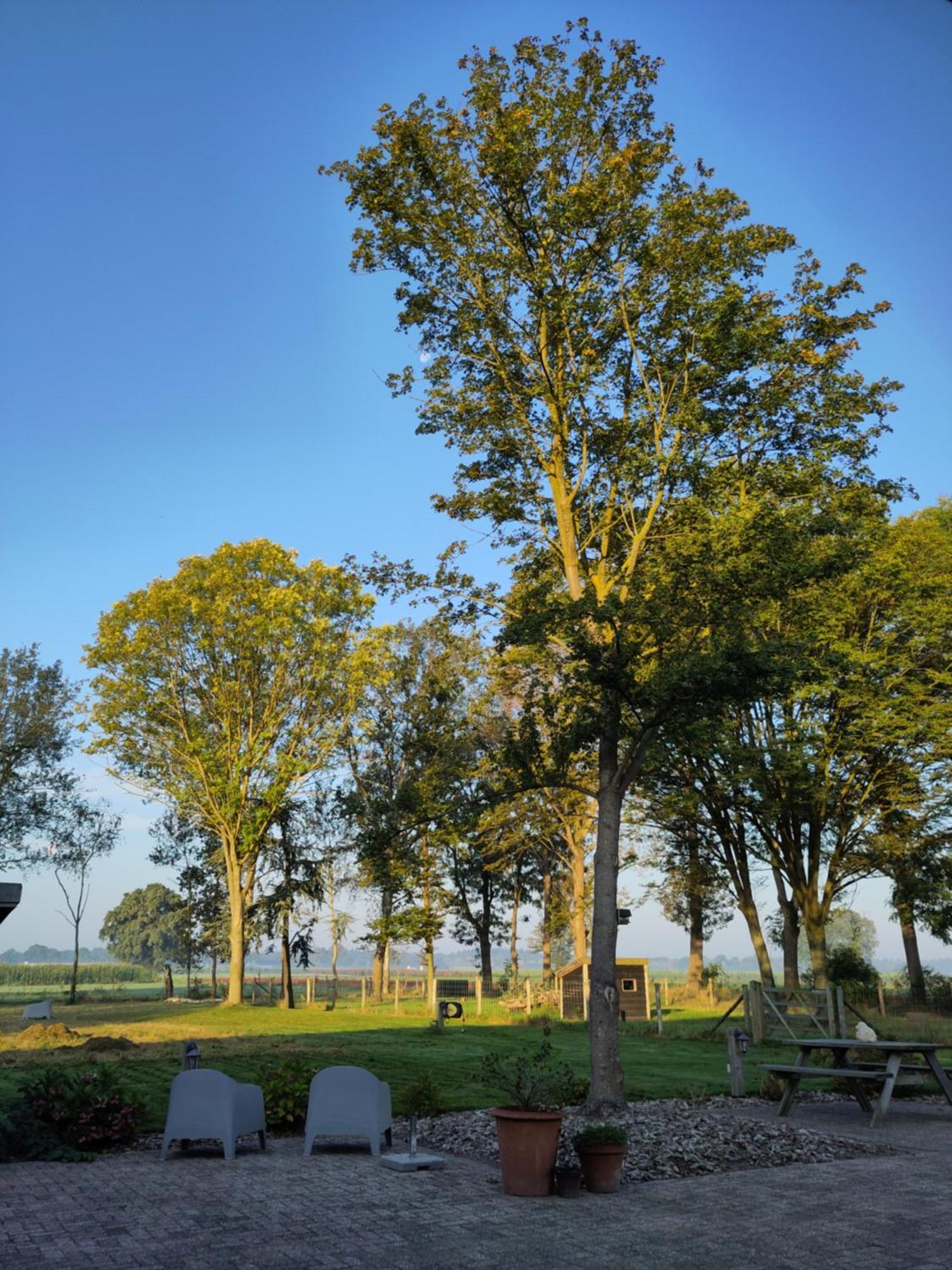 Bed and Breakfast 'T Voske Zundert Zewnętrze zdjęcie